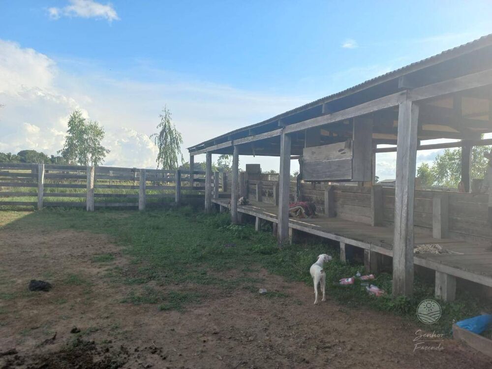 Fazenda à venda, 26620000M2 - Foto 7