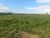 Fazenda, 2662 hectares - Foto 1