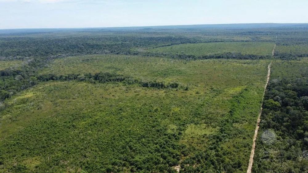 Fazenda, 5362 hectares - Foto 4
