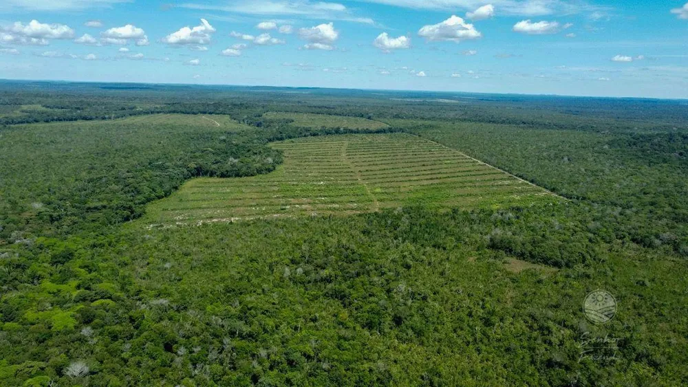 Fazenda, 5362 hectares - Foto 2
