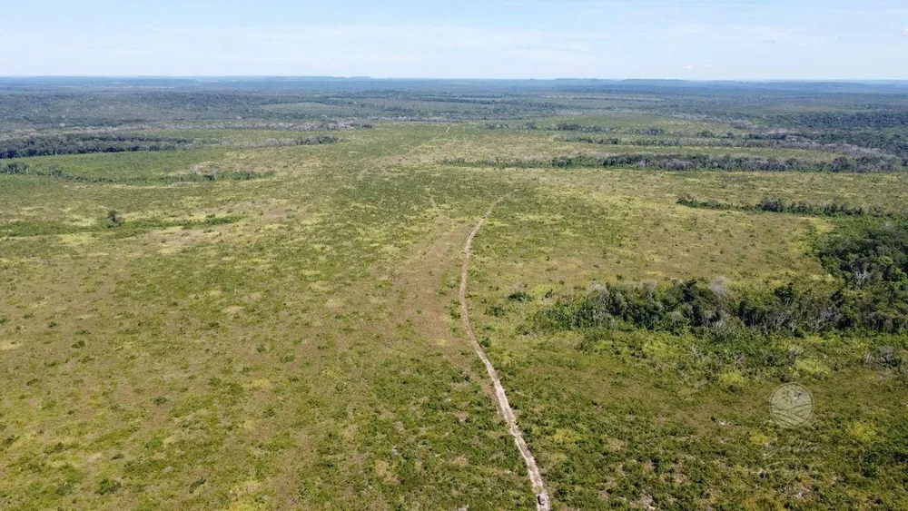Fazenda, 5362 hectares - Foto 3