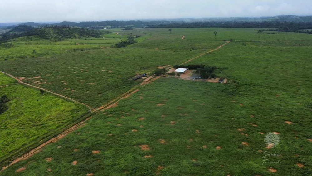 Fazenda, 1124 hectares - Foto 1