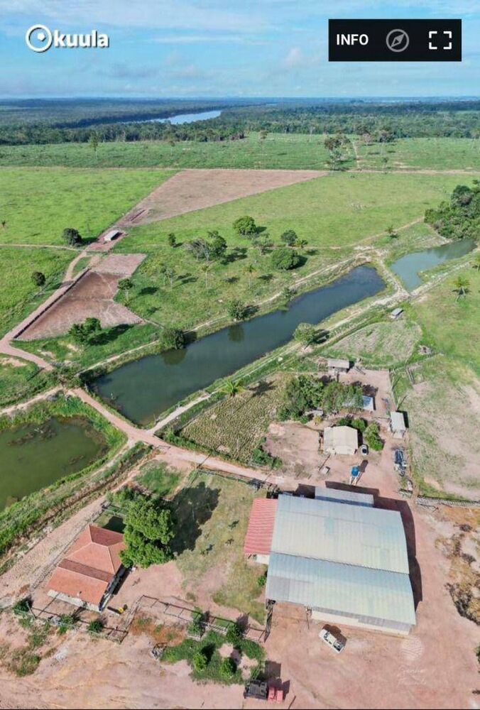 Fazenda, 242 hectares - Foto 4