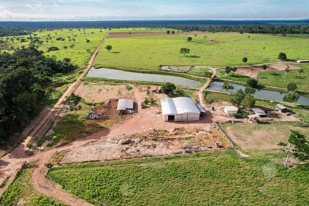 Fazenda, 242 hectares - Foto 1