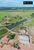 Fazenda-Sítio-Chácara, 242 hectares - Foto 4