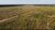 Fazenda, 1051 hectares - Foto 6