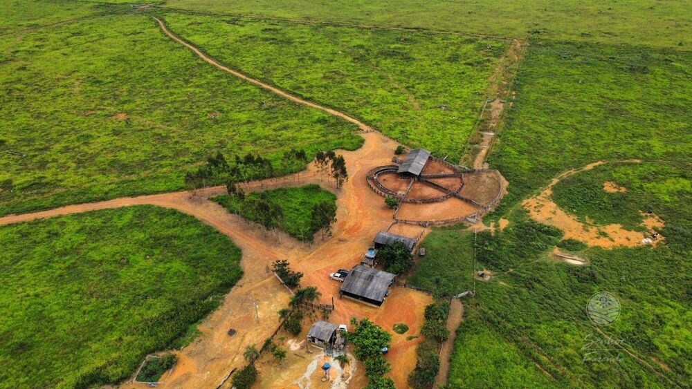 Fazenda, 1066 hectares - Foto 4