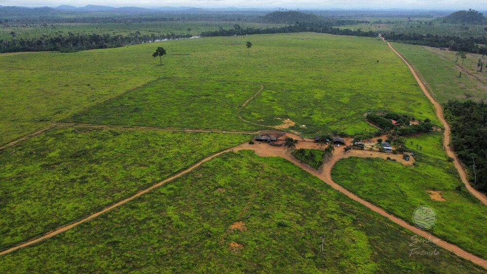 Fazenda, 1066 hectares - Foto 1