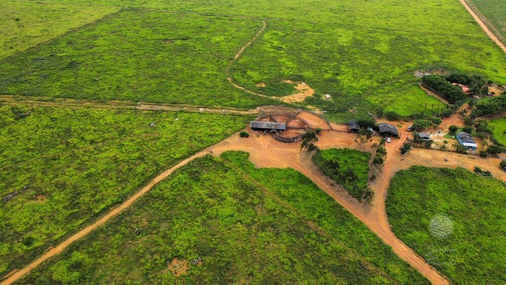 Fazenda, 1066 hectares - Foto 2