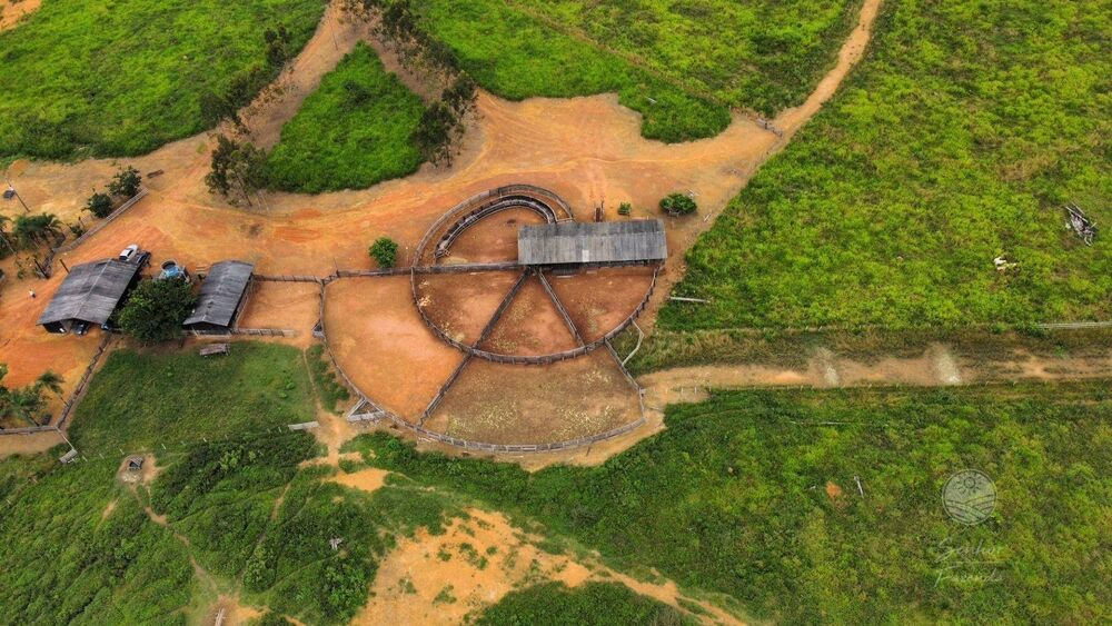 Fazenda, 1066 hectares - Foto 3