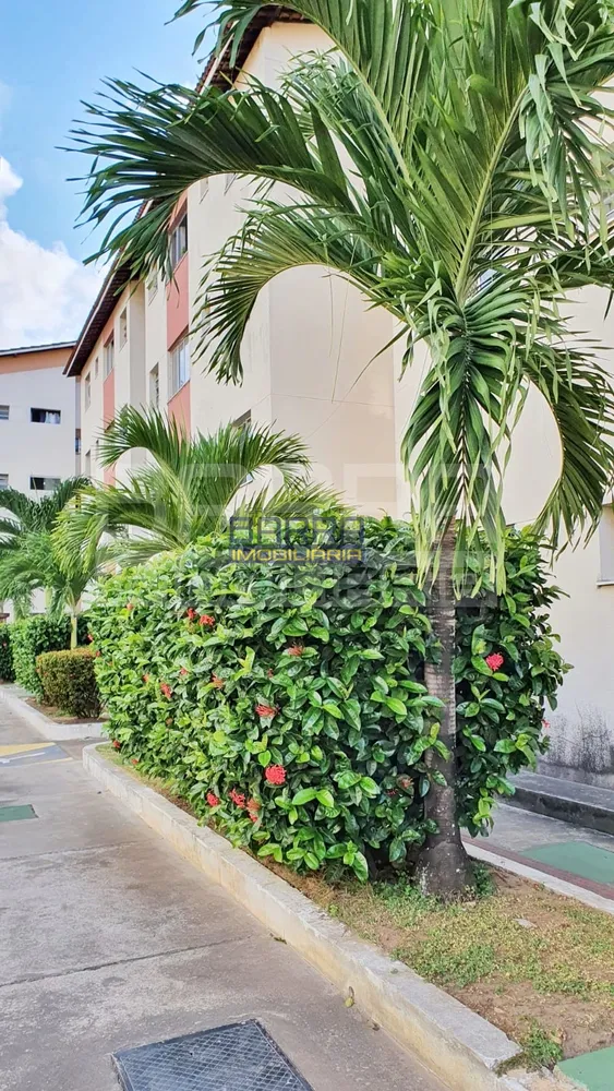 Apartamento, 3 quartos, 80 m² - Foto 4