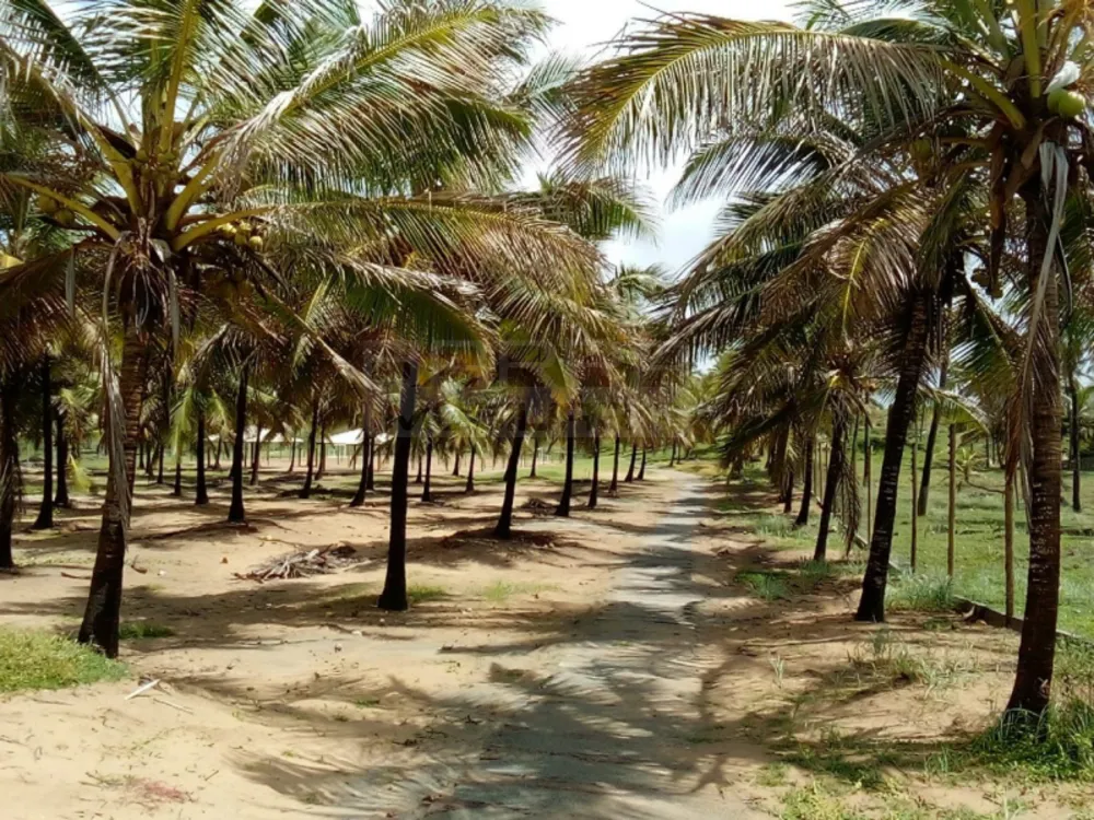Terreno, 200 m² - Foto 3