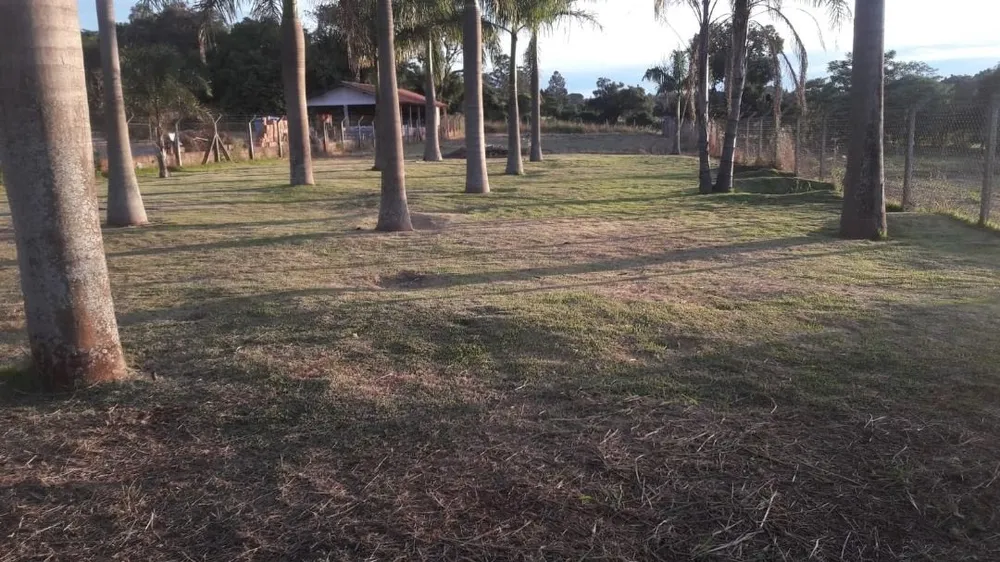 Terreno, 2300 m² - Foto 6