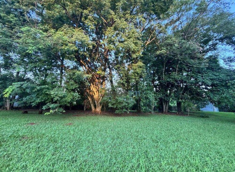 Chácara à venda com 3 quartos, 200m² - Foto 2