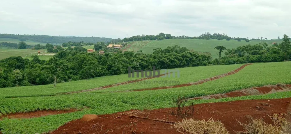 Terreno, 51 hectares - Foto 3