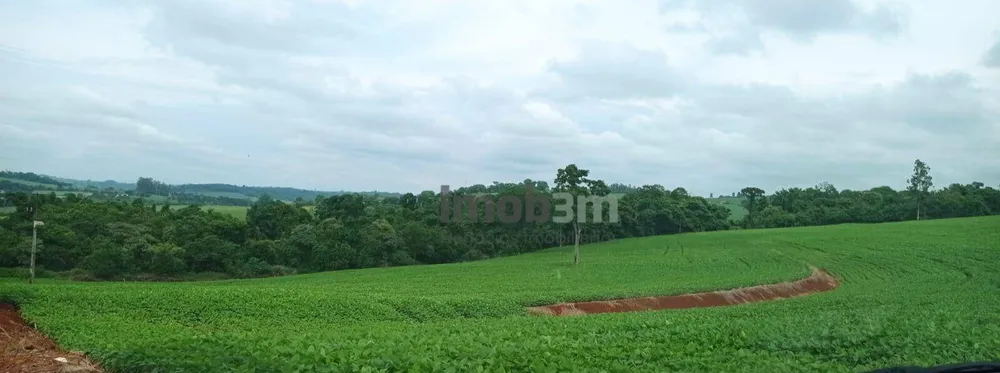 Terreno, 51 hectares - Foto 7