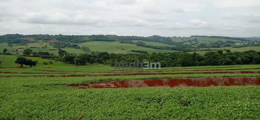Terreno, 51 hectares - Foto 4