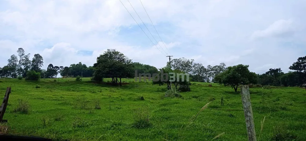 Terreno, 51 hectares - Foto 1