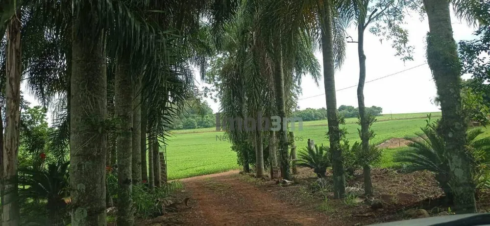 Terreno, 51 hectares - Foto 10