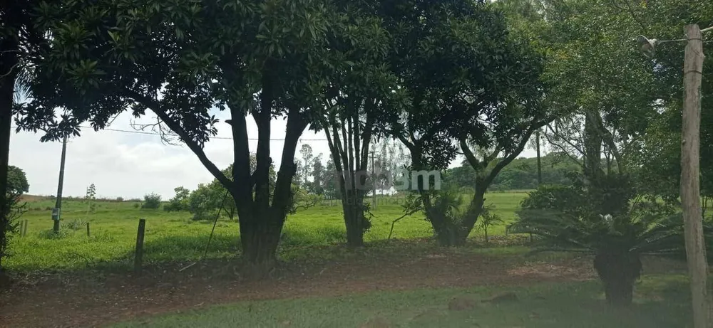 Terreno, 51 hectares - Foto 6