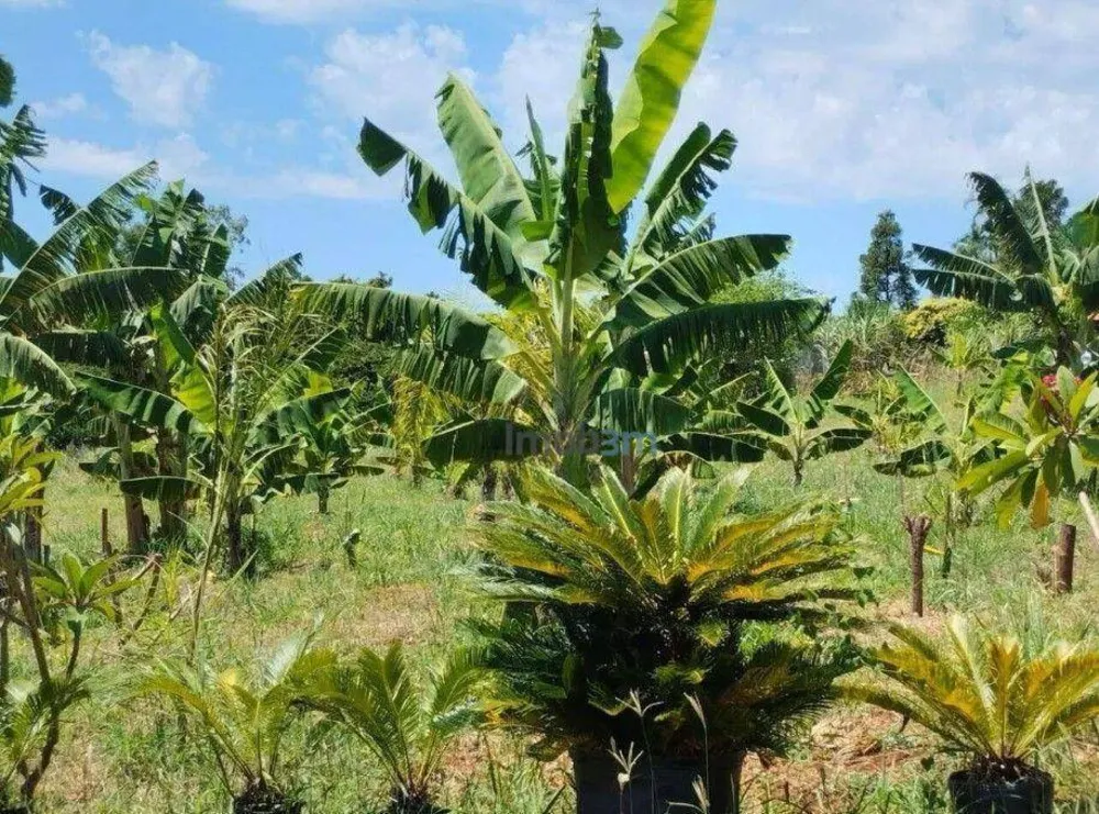 Chácara, 3 quartos, 2 hectares - Foto 11