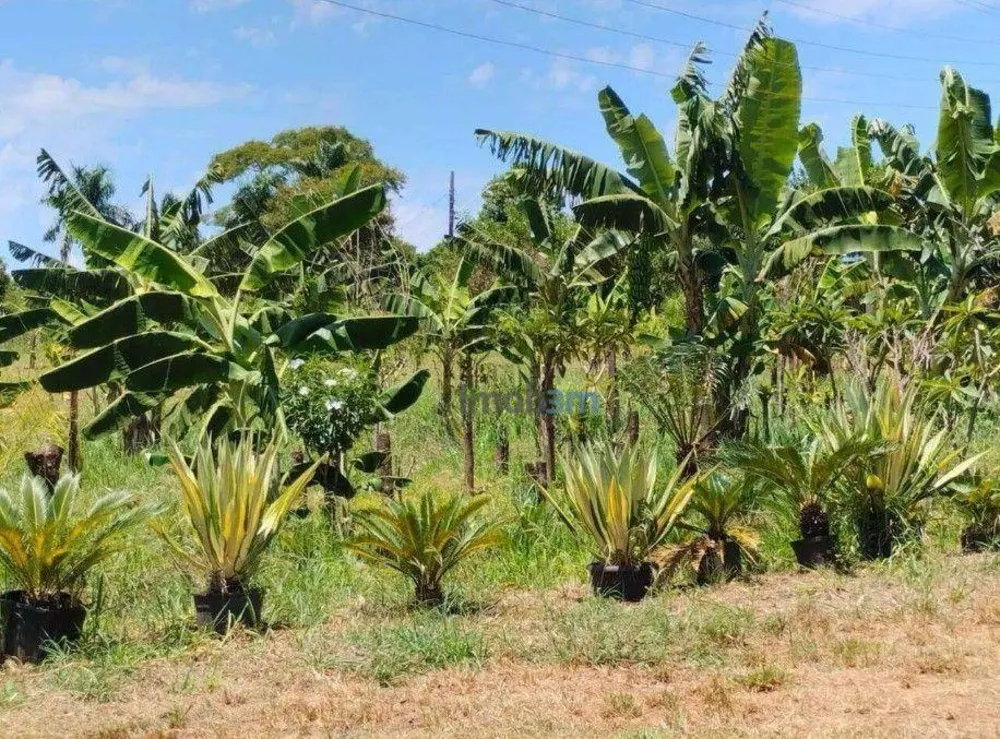 Chácara, 3 quartos, 2 hectares - Foto 10