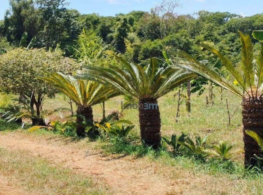 Chácara, 3 quartos, 2 hectares - Foto 9