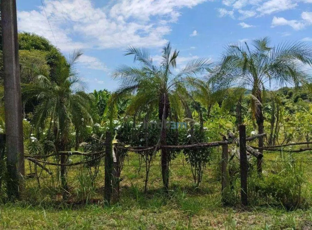 Chácara, 3 quartos, 2 hectares - Foto 4