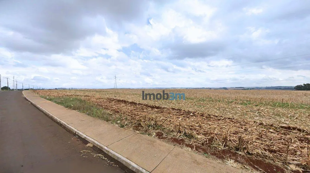 Terreno, 2150 hectares - Foto 4