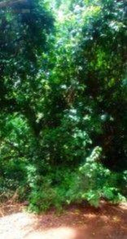 Terreno, 3480 m² - Foto 4