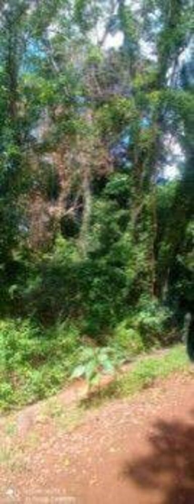 Terreno, 3480 m² - Foto 3