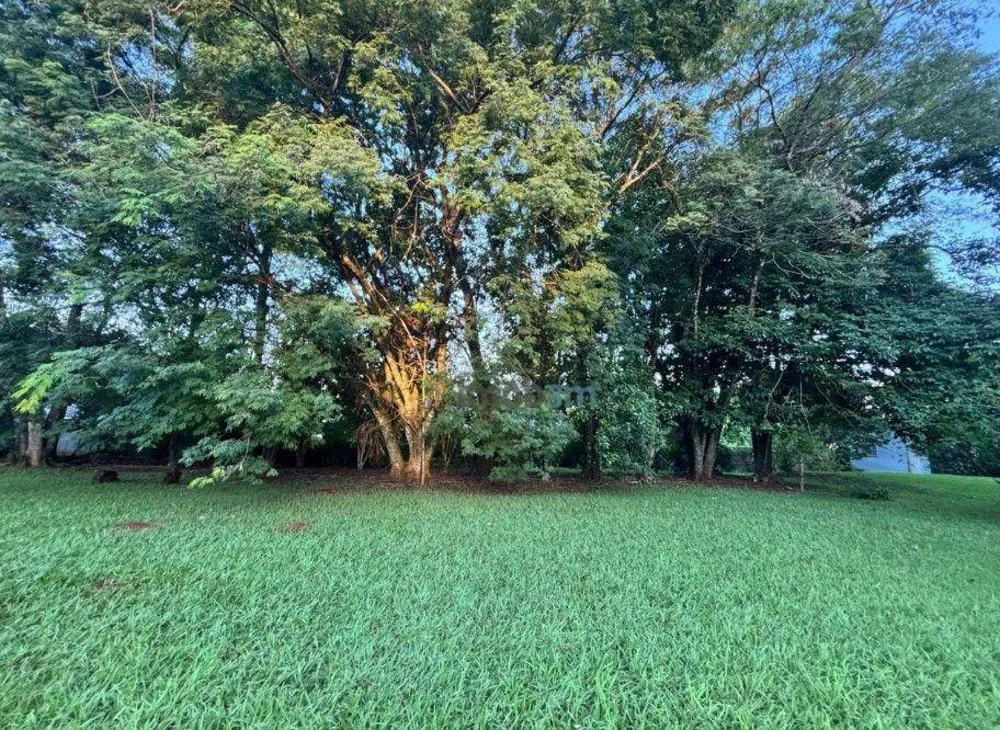 Chácara, 3 quartos, 4800 m² - Foto 3