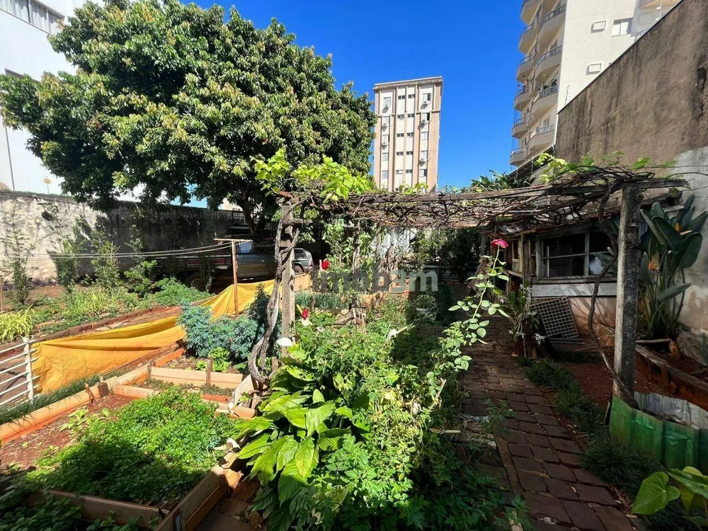 Casa, 3 quartos, 787 m² - Foto 14