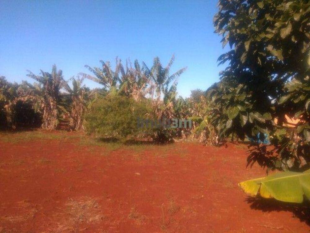Chácara à venda com 3 quartos, 200m² - Foto 8