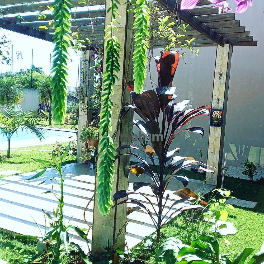 Chácara à venda com 4 quartos, 380m² - Foto 1