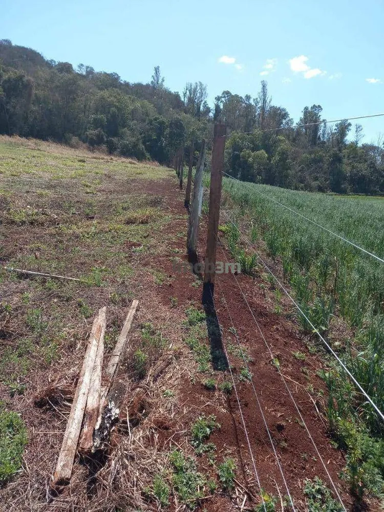 Terreno, 1000 m² - Foto 4