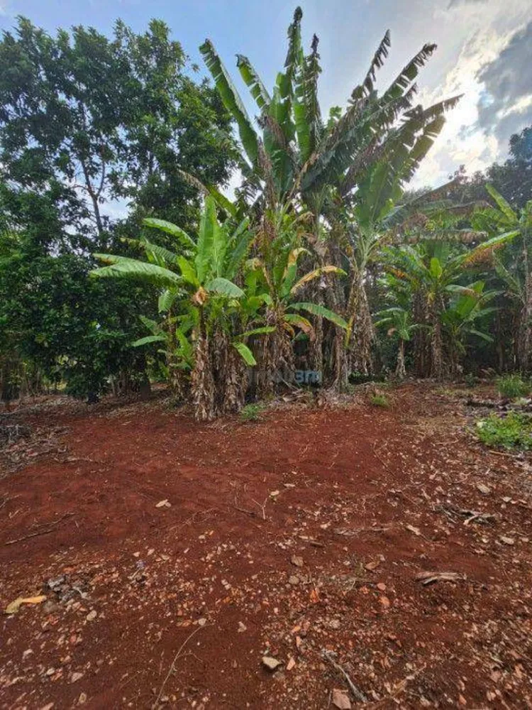 Chácara, 2 quartos, 10000 m² - Foto 11