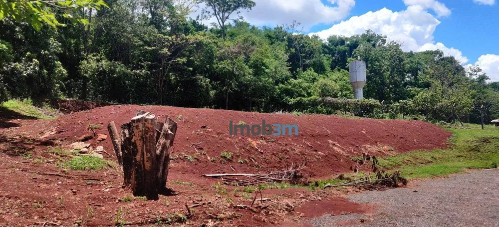 Chácara, 3 quartos, 2850 m² - Foto 12