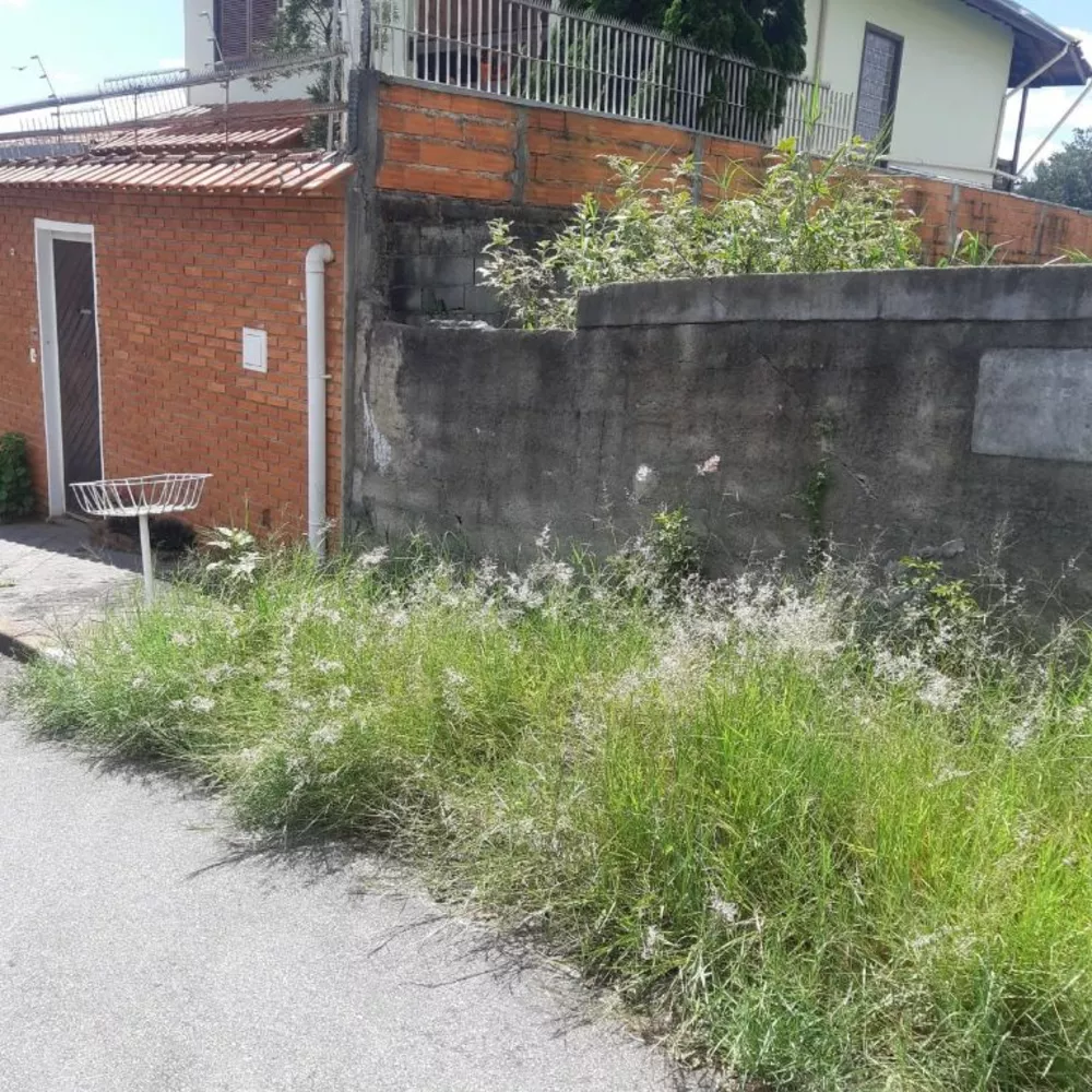 Terreno à venda, 250m² - Foto 3