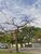 Terreno, 640 m² - Foto 4