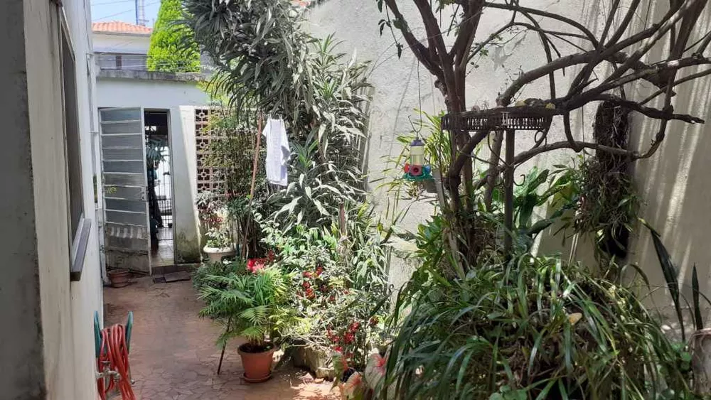 Prédio Inteiro à venda com 2 quartos, 160m² - Foto 3