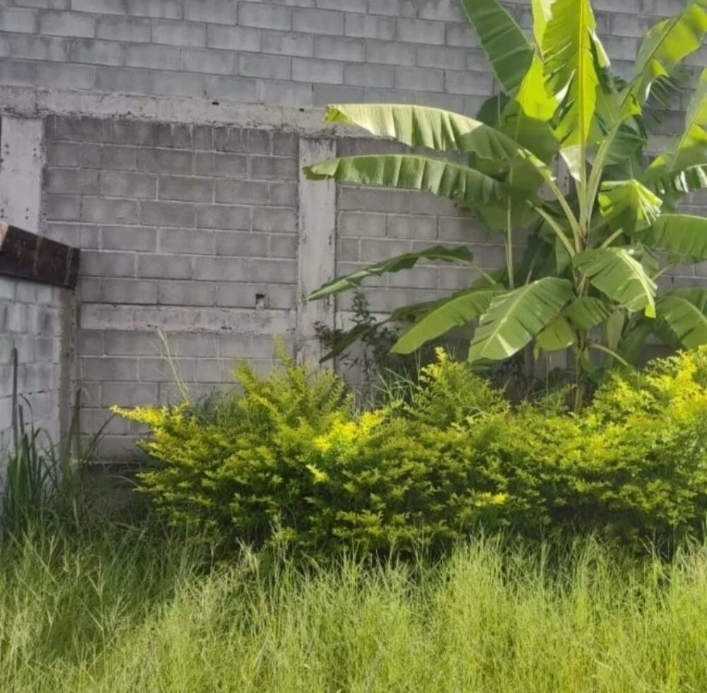Terreno à venda, 400m² - Foto 2
