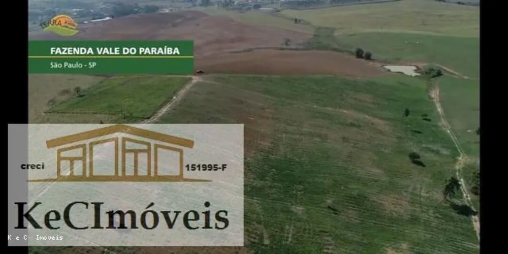 Fazenda, 257 hectares - Foto 7