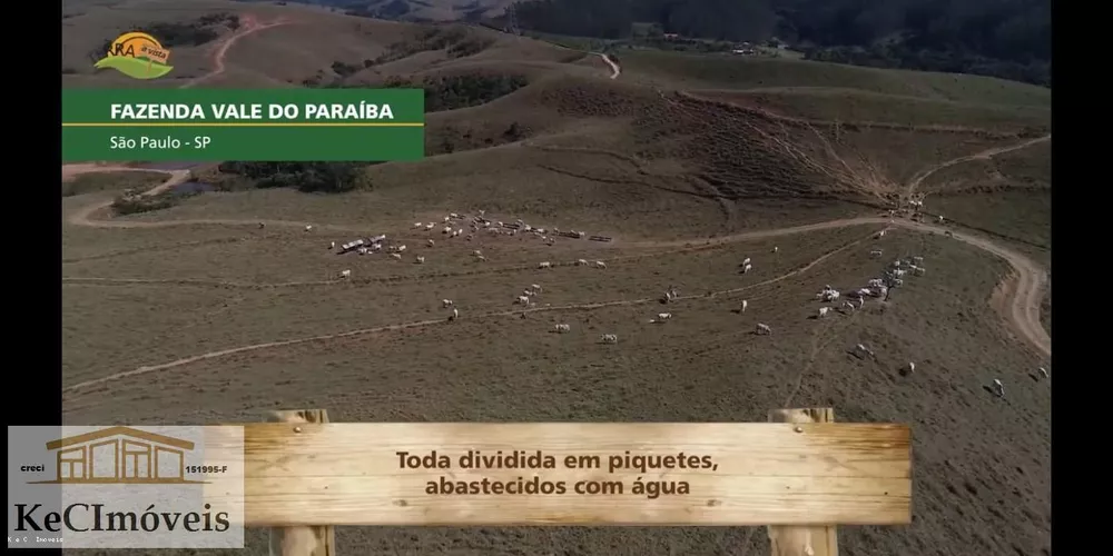 Fazenda, 257 hectares - Foto 3