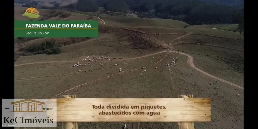 Fazenda, 257 hectares - Foto 3