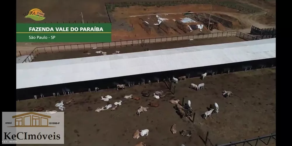 Fazenda, 257 hectares - Foto 2