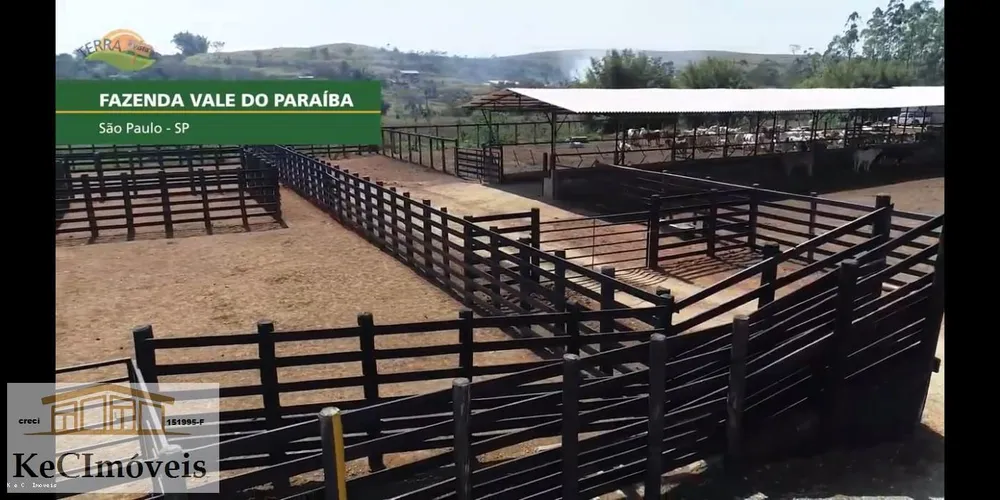 Fazenda, 257 hectares - Foto 8