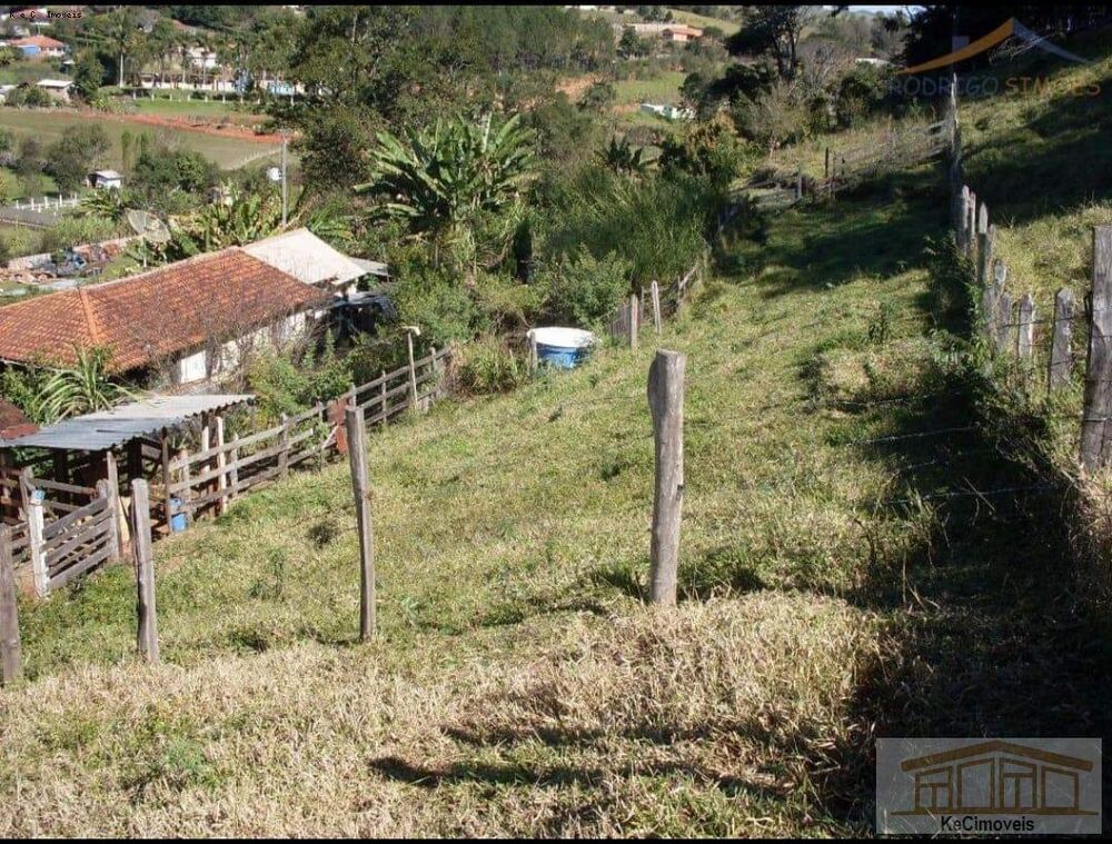 Sítio, 3 quartos, 4200 m² - Foto 4