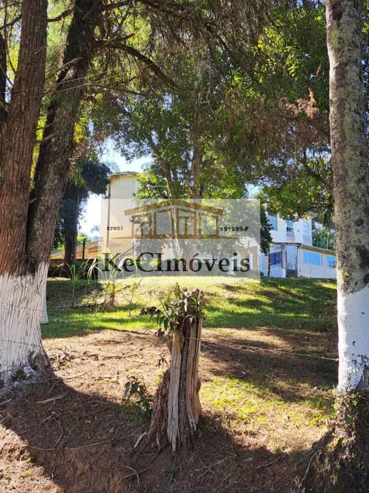 Sítio, 4 quartos, 6 hectares - Foto 1