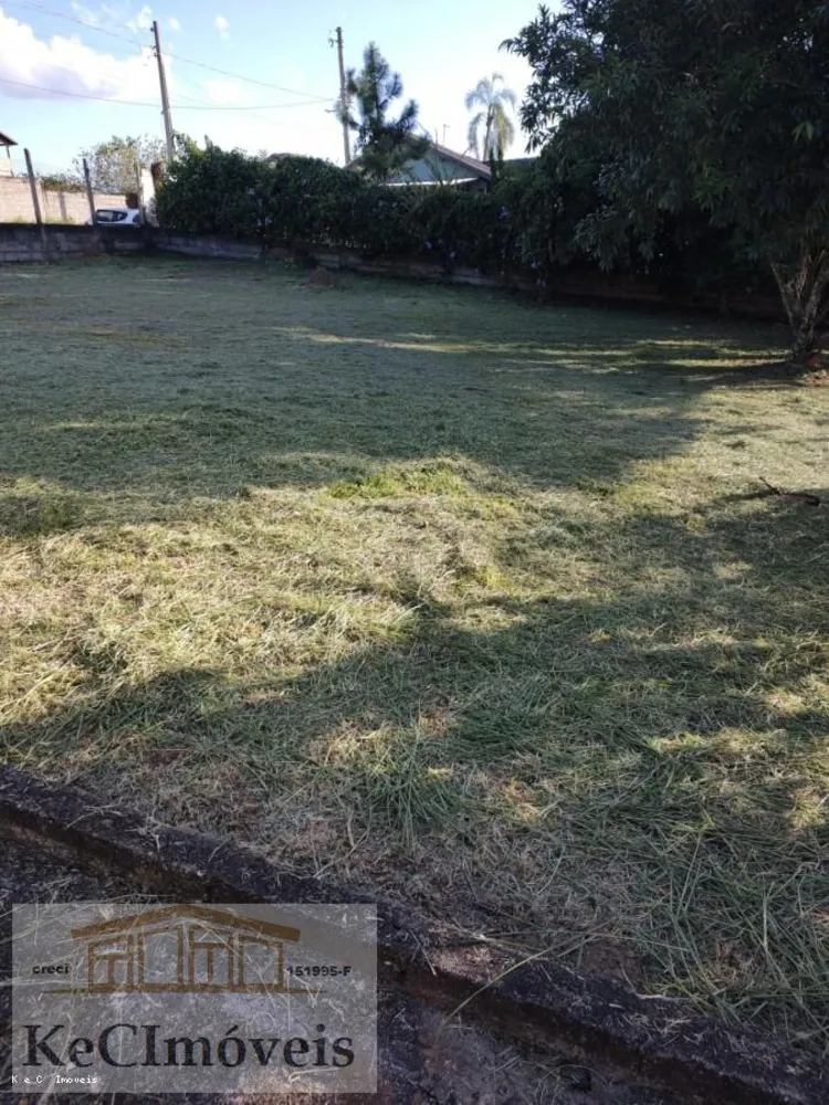Chácara, 5 quartos, 1000 m² - Foto 3